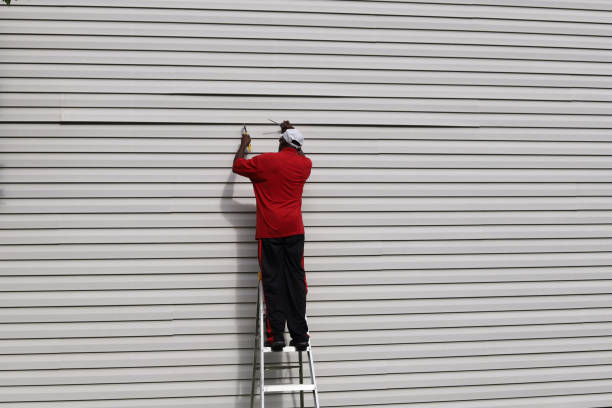 Best Storm Damage Siding Repair  in Beaver Dam, AZ